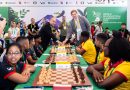 WORLD SCHOOL TEAM