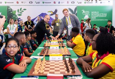 WORLD SCHOOL TEAM